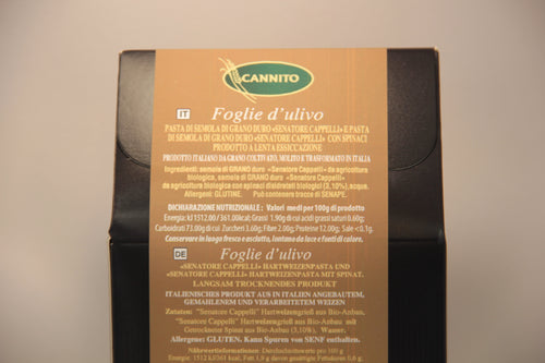 Foglie d'ulivo